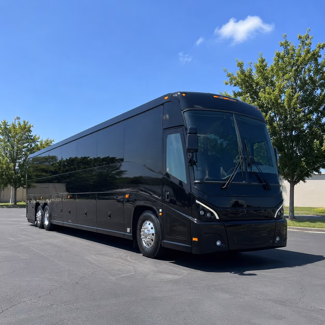 elizabeth concert transportation